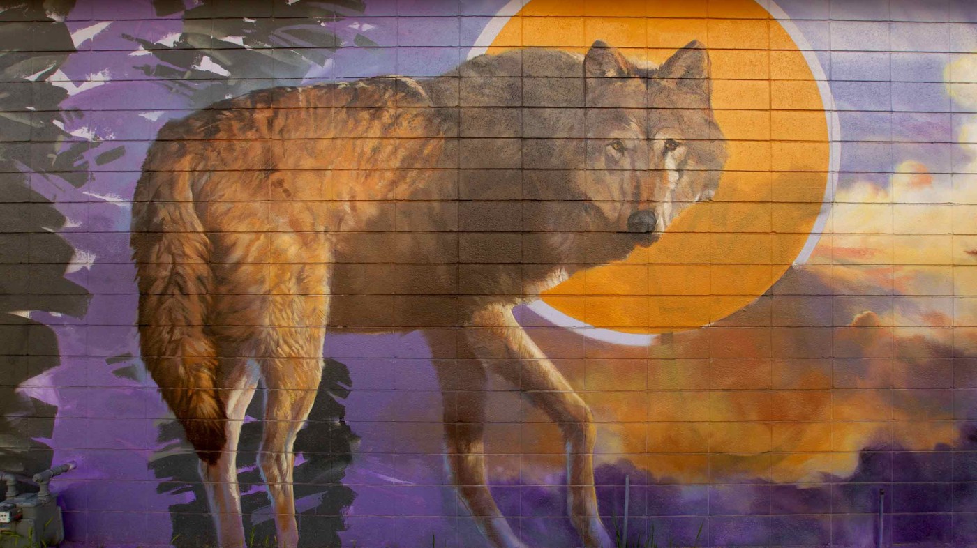 South Salt Lake Arts Council - Untitled | Billy Hensler