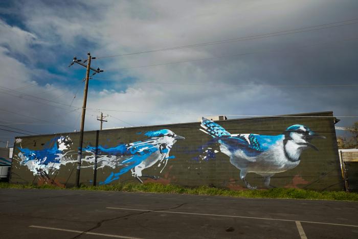 South Salt Lake Arts Council - Murals