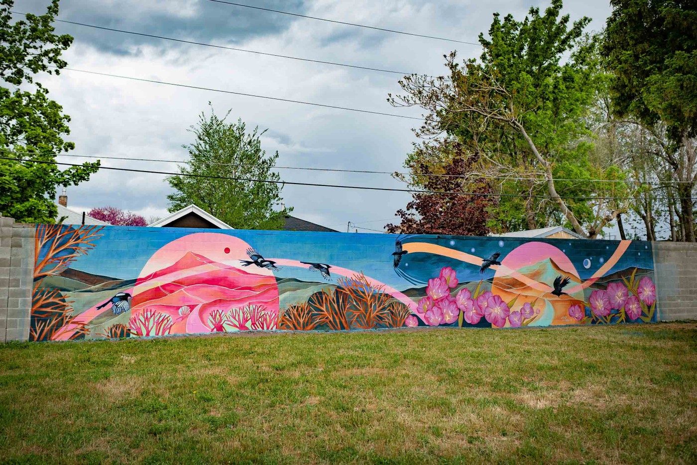 South Salt Lake Arts Council - Untitled | Caro Nilsson